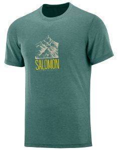 ΜΠΛΟΥΖΑ SALOMON EXPLORE GRAPHIC TEE ΠΡΑΣΙΝΗ (M) ΜΠΛΟΥΖΑ SALOMON EXPLORE GRAPHIC TEE ΠΡΑΣΙΝΗ (M)