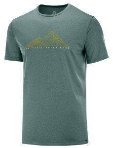 ΜΠΛΟΥΖΑ SALOMON AGILE GRAPHIC TEE ΠΡΑΣΙΝΗ (M) ΜΠΛΟΥΖΑ SALOMON AGILE GRAPHIC TEE ΠΡΑΣΙΝΗ (M)