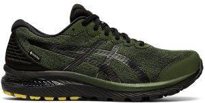 ΠΑΠΟΥΤΣΙ ASICS GEL-CUMULUS 22 GTX ΛΑΔΙ (USA:11, EU:45) ΠΑΠΟΥΤΣΙ ASICS GEL-CUMULUS 22 GTX ΛΑΔΙ (USA:11, EU:45)