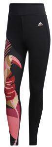 ΚΟΛΑΝ ADIDAS PERFORMANCE X FARM RIO FEELBRILLIANT TIGHTS ΜΑΥΡΟ (M) ΚΟΛΑΝ ADIDAS PERFORMANCE X FARM RIO FEELBRILLIANT TIGHTS ΜΑΥΡΟ (M)