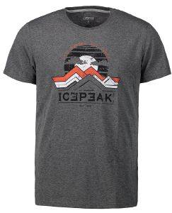 ΜΠΛΟΥΖΑ ICEPEAK BUDE T-SHIRT ΓΚΡΙ (L) ΜΠΛΟΥΖΑ ICEPEAK BUDE T-SHIRT ΓΚΡΙ (L)