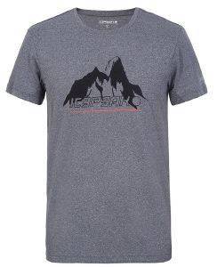 ΜΠΛΟΥΖΑ ICEPEAK BAYPORT T-SHIRT ΓΚΡΙ (XXL) ΜΠΛΟΥΖΑ ICEPEAK BAYPORT T-SHIRT ΓΚΡΙ (XXL)