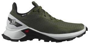 �������� SALOMON ALPHACROSS BLAST CSWP J ���� (34)