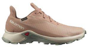 ΠΑΠΟΥΤΣΙ SALOMON ALPHACROSS 3 GTX ΣΟΜΟΝ (UK:6, EU:39 1/3) ΠΑΠΟΥΤΣΙ SALOMON ALPHACROSS 3 GTX ΣΟΜΟΝ (UK:6, EU:39 1/3)
