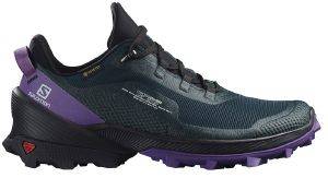 ΠΑΠΟΥΤΣΙ SALOMON CROSS OVER GTX ΜΠΛΕ ΣΚΟΥΡΟ/ΜΑΥΡΟ (UK:7, EU:40 2/3) ΠΑΠΟΥΤΣΙ SALOMON CROSS OVER GTX ΜΠΛΕ ΣΚΟΥΡΟ/ΜΑΥΡΟ (UK:7, EU:40 2/3)