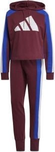  ADIDAS PERFORMANCE BIG LOGO TRACKSUIT  (S)