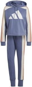 ΦΟΡΜΑ ADIDAS PERFORMANCE BIG LOGO TRACKSUIT ΒΙΟΛΕΤΙ (L) ΦΟΡΜΑ ADIDAS PERFORMANCE BIG LOGO TRACKSUIT ΒΙΟΛΕΤΙ (L)