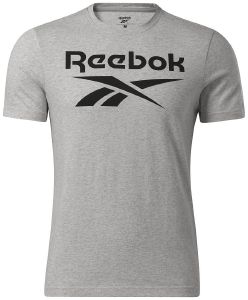 ΜΠΛΟΥΖΑ REEBOK IDENTITY BIG LOGO T-SHIRT ΓΚΡΙ (L) ΜΠΛΟΥΖΑ REEBOK IDENTITY BIG LOGO T-SHIRT ΓΚΡΙ (L)