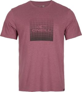  O\'NEILL GRADIENT CUBE T-SHIRT  (M)