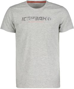ΜΠΛΟΥΖΑ ICEPEAK BRIARCLIFF ΓΚΡΙ (S) ΜΠΛΟΥΖΑ ICEPEAK BRIARCLIFF ΓΚΡΙ (S)