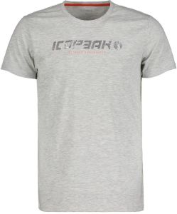  ICEPEAK BRIARCLIFF  (L)