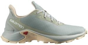 ΠΑΠΟΥΤΣΙ SALOMON ALPHACROSS 3 ΓΚΡΙ (UK:6.5, EU:40) ΠΑΠΟΥΤΣΙ SALOMON ALPHACROSS 3 ΓΚΡΙ (UK:6.5, EU:40)