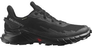 �������� SALOMON ALPHACROSS 4 GTX ����� (UK:8.5, EU:42 2/3)