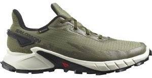 �������� SALOMON ALPHACROSS 4 GTX ���� (UK:9.5, EU:44)