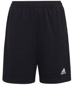 ����� ADIDAS PERFORMANCE ENTRADA 22 TRAINING ����� (164 CM)