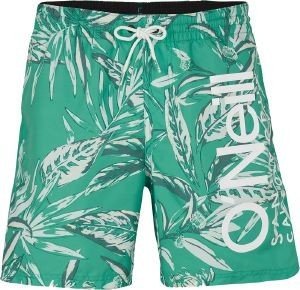 ΣΟΡΤΣ ΜΑΓΙΟ O\'NEILL CALI FLORAL 16\'\' ΠΡΑΣΙΝΟ (S) ΣΟΡΤΣ ΜΑΓΙΟ O\'NEILL CALI FLORAL 16\'\' ΠΡΑΣΙΝΟ (S)