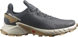 ΠΑΠΟΥΤΣΙ SALOMON ALPHACROSS 4 ΓΚΡΙ (UK:8.5, EU:42 2/3) ΠΑΠΟΥΤΣΙ SALOMON ALPHACROSS 4 ΓΚΡΙ (UK:8.5, EU:42 2/3)