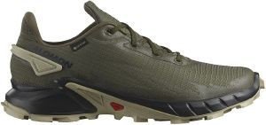 ΠΑΠΟΥΤΣΙ SALOMON ALPHACROSS 4 GTX ΛΑΔΙ (10.5/UK/45 1/3) ΠΑΠΟΥΤΣΙ SALOMON ALPHACROSS 4 GTX ΛΑΔΙ (10.5/UK/45 1/3)
