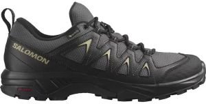 ΠΑΠΟΥΤΣΙ SALOMON X BRAZE GTX ΓΚΡΙ/ΜΑΥΡΟ (UK:9.5, EU:44) ΠΑΠΟΥΤΣΙ SALOMON X BRAZE GTX ΓΚΡΙ/ΜΑΥΡΟ (UK:9.5, EU:44)