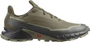 ΠΑΠΟΥΤΣΙ SALOMON ALPHACROSS 5 GTX ΛΑΔΙ (UK:7.5, EU:41 1/3) ΠΑΠΟΥΤΣΙ SALOMON ALPHACROSS 5 GTX ΛΑΔΙ (UK:7.5, EU:41 1/3)