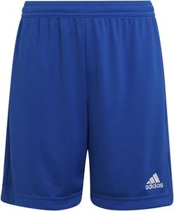 ΣΟΡΤΣ ADIDAS PERFORMANCE ENTRADA 22 ΜΠΛΕ ΡΟΥΑ (116 CM) ΣΟΡΤΣ ADIDAS PERFORMANCE ENTRADA 22 ΜΠΛΕ ΡΟΥΑ (116 CM)