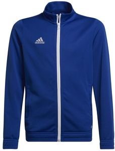 ΖΑΚΕΤΑ ADIDAS PERFORMANCE ENTRANCE 22 SWEATSHIRT ΜΠΛΕ ΡΟΥΑ (176 CM) ΖΑΚΕΤΑ ADIDAS PERFORMANCE ENTRANCE 22 SWEATSHIRT ΜΠΛΕ ΡΟΥΑ (176 CM)