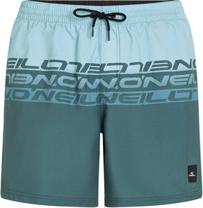   O\'NEILL CALI STRIPE 16\'\' SWIMSHORTS / (L)
