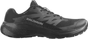 ΠΑΠΟΥΤΣΙ SALOMON ALPHAGLIDE GTX ΜΑΥΡΟ (UK:9.5, EU:44) ΠΑΠΟΥΤΣΙ SALOMON ALPHAGLIDE GTX ΜΑΥΡΟ (UK:9.5, EU:44)