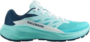 ΠΑΠΟΥΤΣΙ SALOMON ALPHAGLIDE ΜΠΛΕ ΑΝΟΙΚΤΟ (UK:7, EU:40 2/3) ΠΑΠΟΥΤΣΙ SALOMON ALPHAGLIDE ΜΠΛΕ ΑΝΟΙΚΤΟ (UK:7, EU:40 2/3)