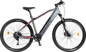 �������� ORIENT ULTRA 1.0 29