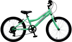 �������� ORIENT SPRINT 20\