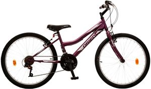 �������� ORIENT COMFORT GIRL 24\