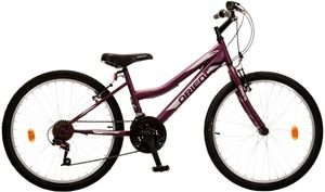 �������� ORIENT COMFORT GIRL 24