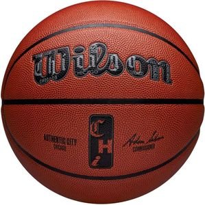 ����� WILSON NBA AUTHENTIC CITY CHICAGO ��������� (7)