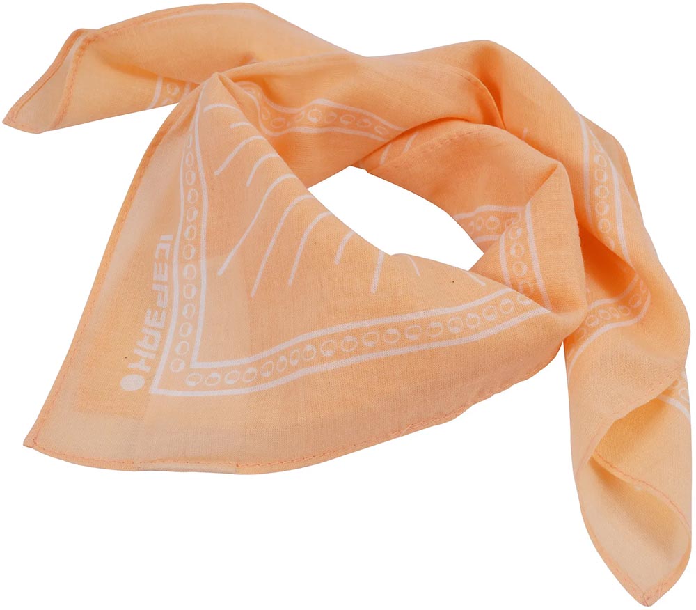 ICEPEAK ΜΑΝΤΗΛΙ ICEPEAK HORICUN SCARF ΡΟΖ