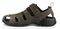  TEVA FOREBAY   (USA:7, EU:39.5)
