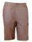 �������� REEBOK SHORT ����