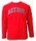  MENS LONG SLEEVE TEE GRAPHIC REEBOK ...