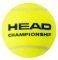   HEAD CHAMPIONSHIP