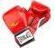   EVERLAST PRO STYLE TRAINING...