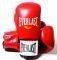   EVERLAST FIGHTER /...