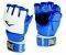   EVERLAST AMATEUR MMA COMPET...