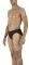  SPEEDO LOGO ACTIVE BRIEF 6.5 CM  (36)
