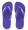 ��������� HAVAIANAS BRASIL LOGO ������� (BR:3...
