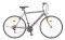  LEADER WILD CAT GENT 28'' 