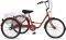  ORIENT  24\'\' KOKKINO