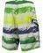  ADIDAS PERFORMANCE  LW PAINT SHORTS // (XL)