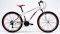 REGINA BOLT SUSPENSION FORK 26'' ...