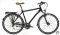 �������� REGINA STREET SUPREME MAN 28'' �����