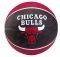  SPALDING CHICAGO BULLS / (7...
